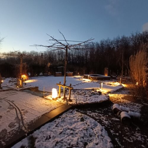 Gartenupdate im Winter