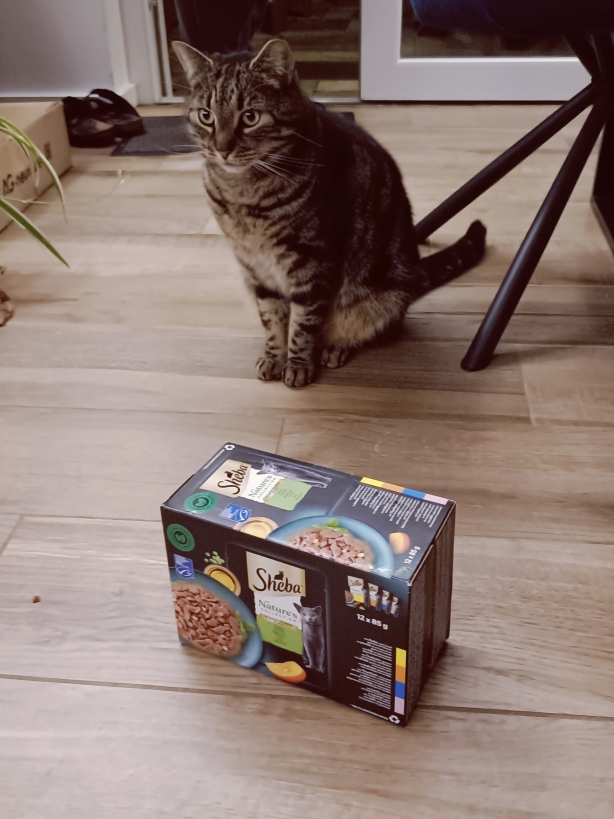 Tiger ist eher skeptisch