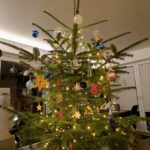 Der Baum von der Couch aus