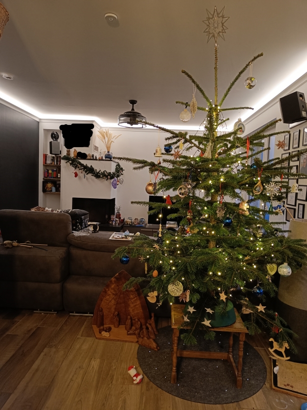Der Baum vom Essbereich aus