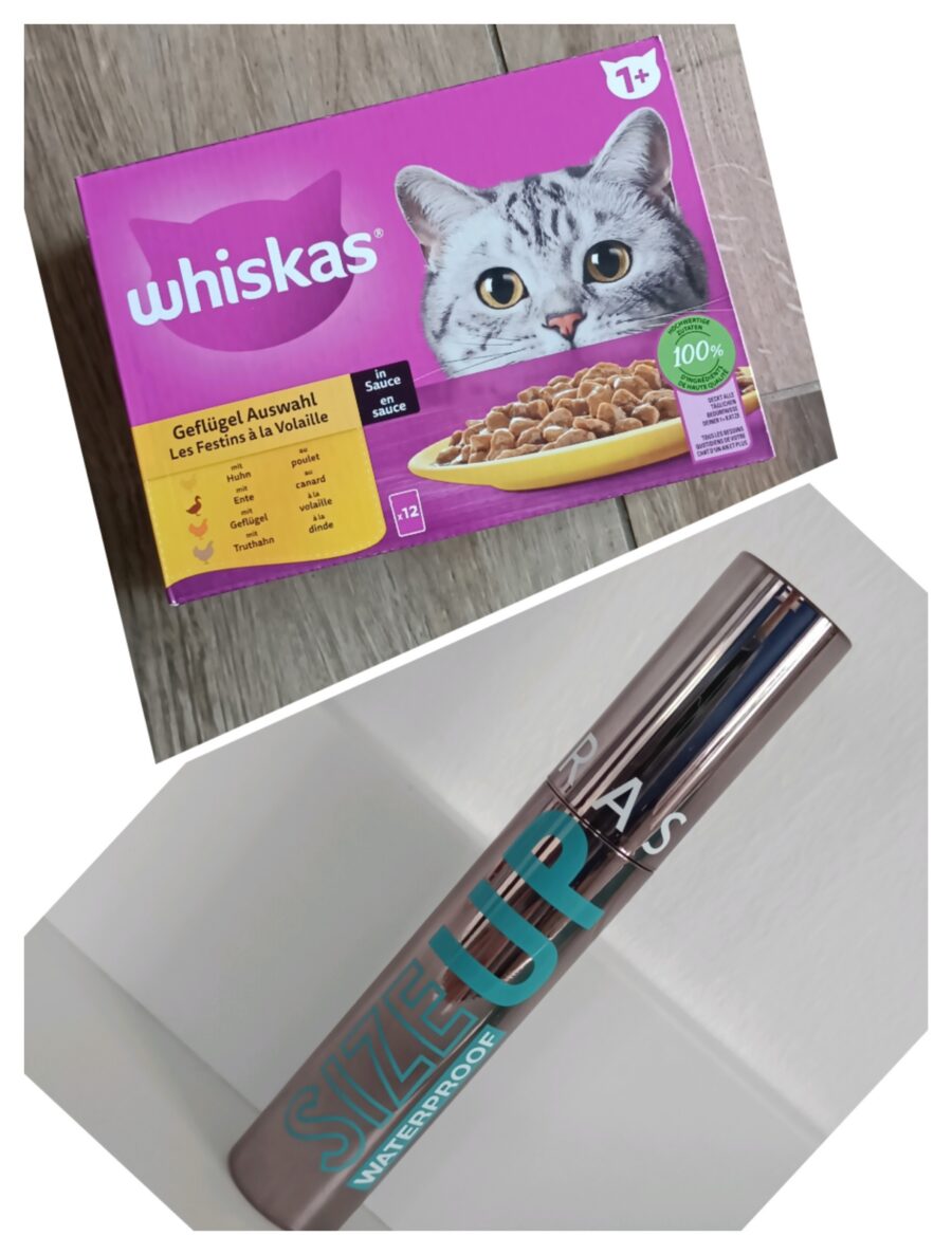 Langzeitfazit zu Produkttests im Januar 2025