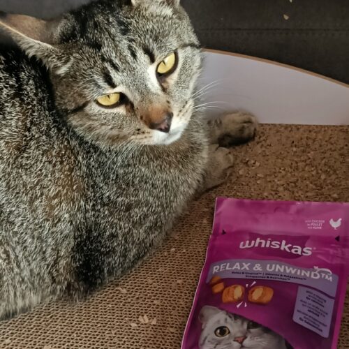 Testbericht zum Whiskas Relax & unwind Snack (Influenster)