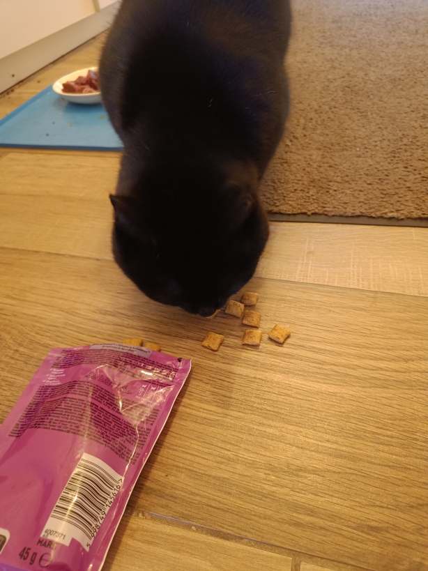 Zunächst hat Yami die Snacks sehr gerne gegessen