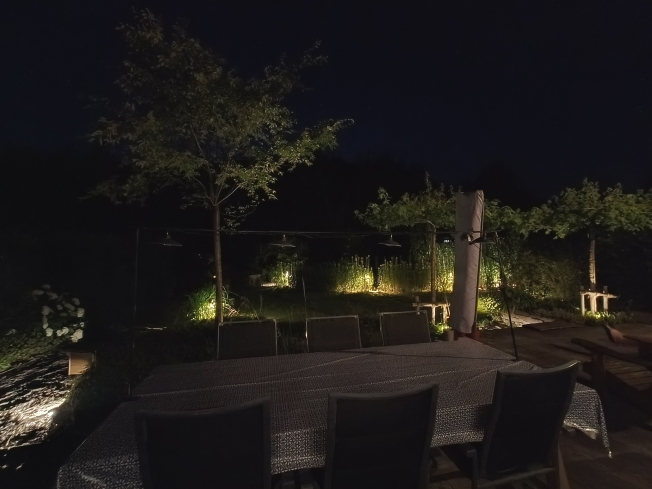 Der Garten bei Nacht