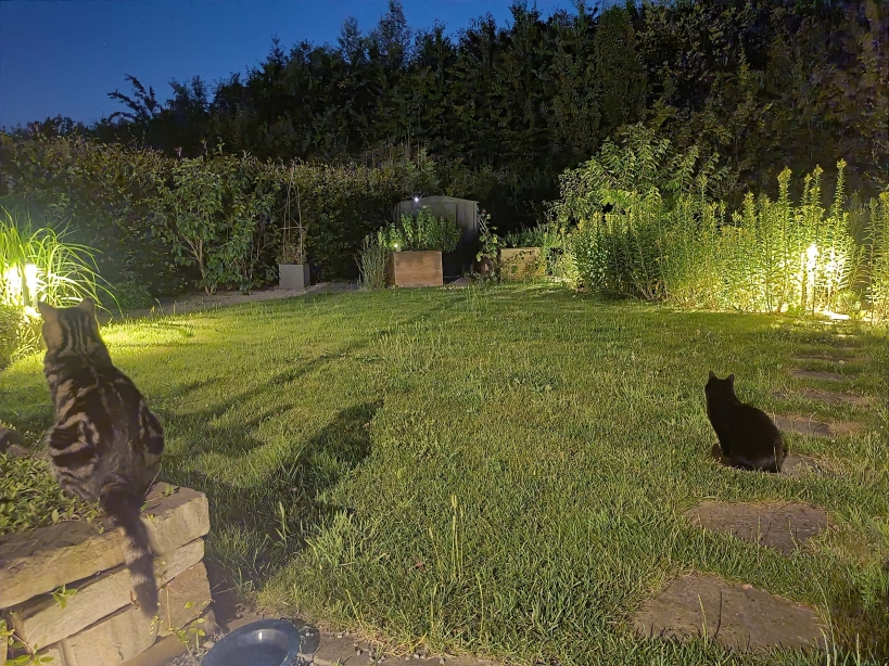 Der Garten bei Nacht