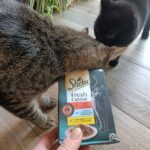Joschi markiert die Packung direkt